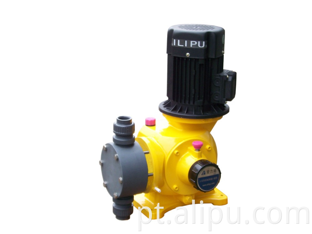 Water Treatment Program Pump